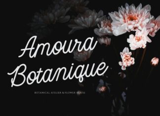 Jenaka Font preview image 3
