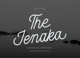 Jenaka Font preview image 1