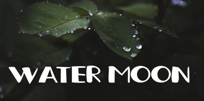 Kispray Font preview image 3