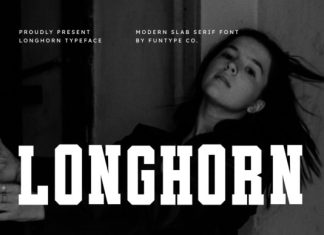 Longhorn Font preview image 1
