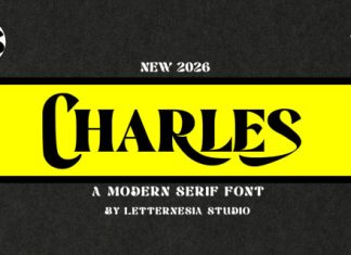 Lscharles Font preview image 1