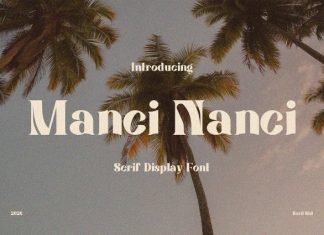 Manci Nanci Font preview image 1