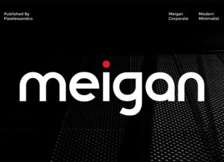Meigan Font preview image 1