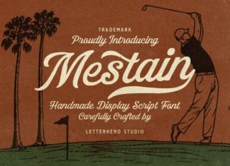 Mestain Script Font preview image 1