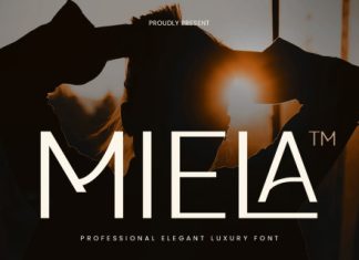 Miela Font preview image 1