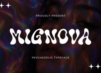 Mignova Font preview image 1