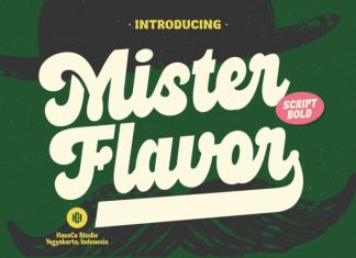 Mister Flavor Font preview image 1
