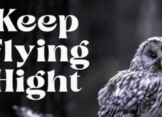 Misterya Font preview image 2