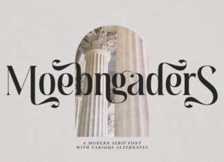 Moebngaders Font preview image 1