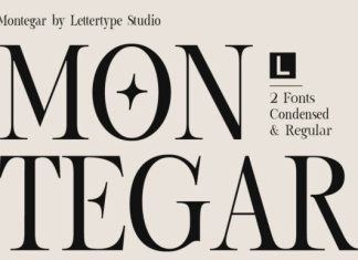 Montegar Font preview image 1