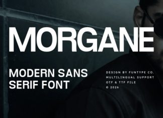 Morgane Font preview image 1