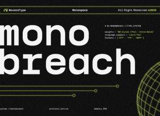 NV Monobreach Font preview image 1