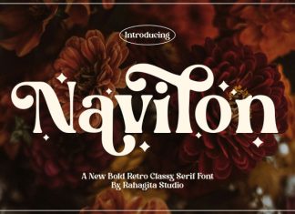 Navilon Font preview image 1