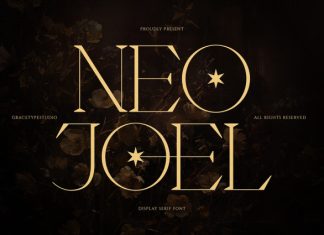 Neo Joel Font preview image 1