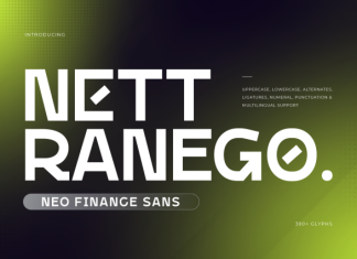 Nett Ranego – Neo Finance Sans Font preview image 1