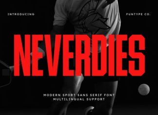 Neverdies Font preview image 1