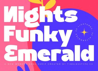 Nights Funky Emerald Font preview image 1