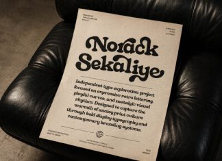 Norack Sekaliye Font preview image 3