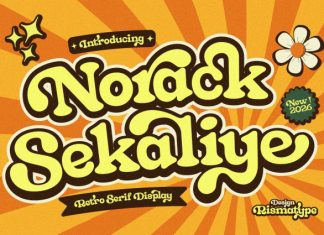 Norack Sekaliye Font preview image 1