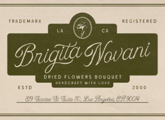 Nuances Affection Font preview image 3