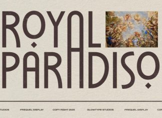 PREQUEL DISPLAY FONT preview image 3