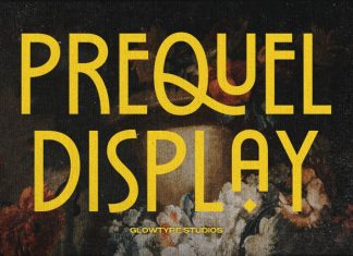 PREQUEL DISPLAY FONT preview image 1
