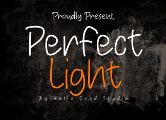 Perfect Light Font preview image 1