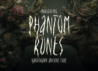 Phantom Runes Font preview image 1