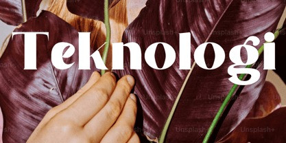 Premising Font preview image 3