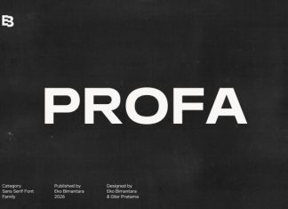 Profa Font preview image 1