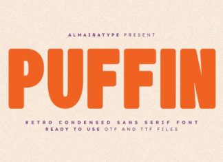 Puffin Font preview image 1