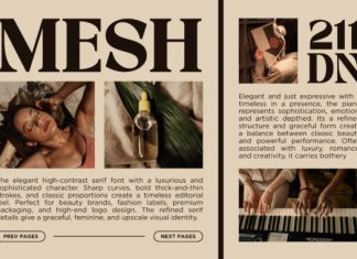 Quishe Font preview image 3