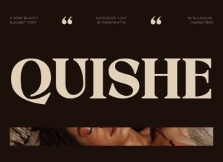 Quishe Font preview image 1