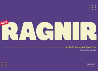 Ragnir Font preview image 1