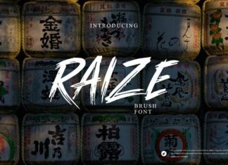 Raize Brush Font preview image 1