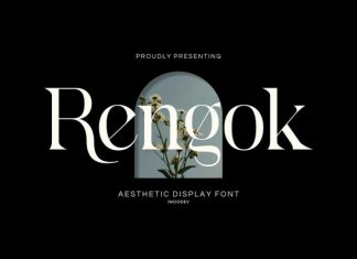 Rengok Font preview image 1