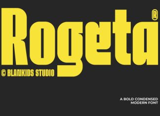Rogeta Font preview image 1