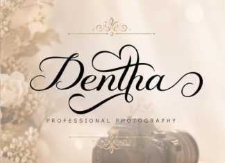 Romantic Amitha Font preview image 2