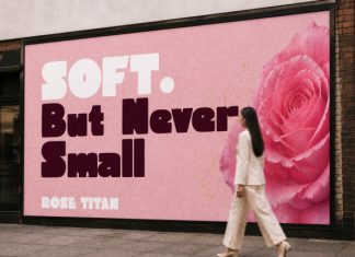 Rose Titan Font preview image 2