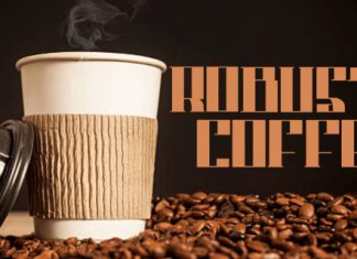 Rosvera Font preview image 3