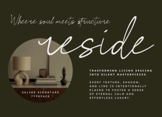 Saline Signature Font preview image 2