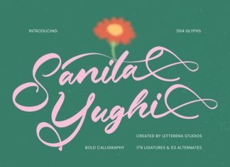 Sanita Yughi Font preview image 1