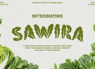 Sawira Font preview image 1