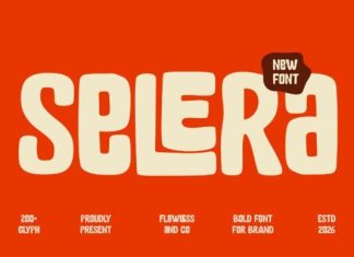 Selera Font preview image 1