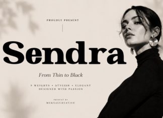 Sendra Font preview image 1