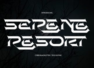 Serene Resort Font preview image 1