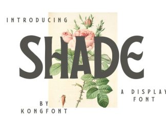 Shade Font preview image 1
