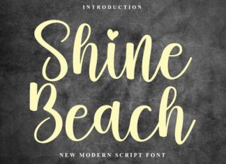 Shine Beach Font preview image 1