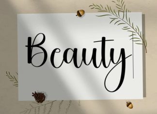Shophia Romantic Font preview image 3