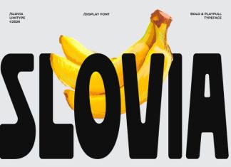 Slovia Font preview image 1